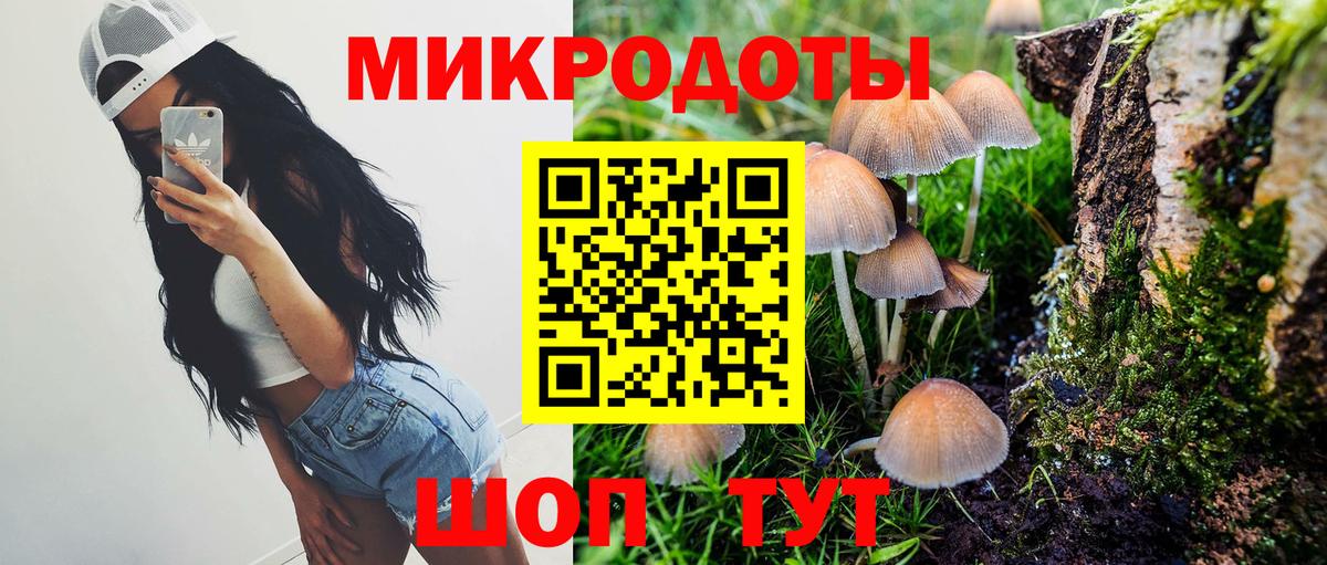 Галлюциногенные грибы мухоморы Благовещенск