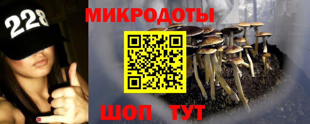 Благовещенск  Псилоцибиновые грибы Cubensis  Вход с VPN 